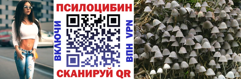 Галлюциногенные грибы мухоморы  Кадников 